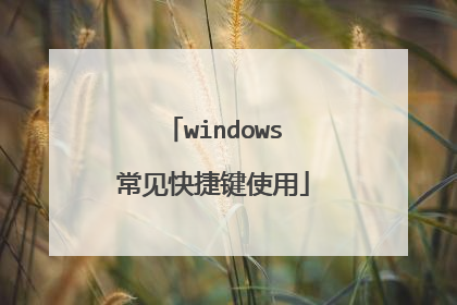 windows常见快捷键使用