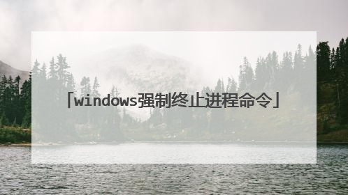 windows强制终止进程命令