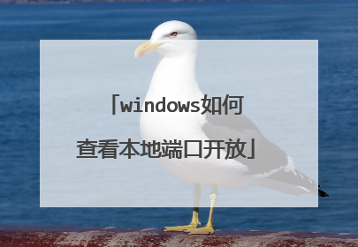 windows如何查看本地端口开放