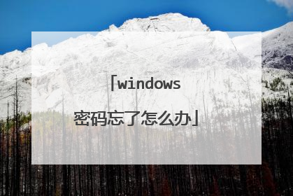 windows密码忘了怎么办