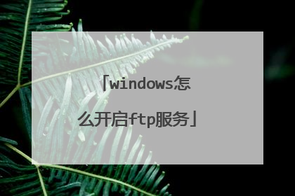 windows怎么开启ftp服务