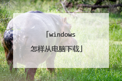 windows怎样从电脑下载