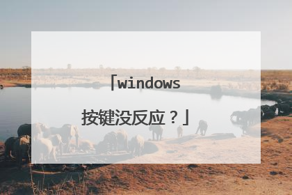 windows按键没反应?