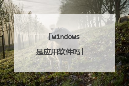 windows是应用软件吗