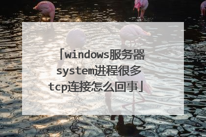 windows服务器 system进程很多tcp连接怎么回事