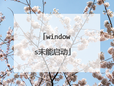 windows未能启动