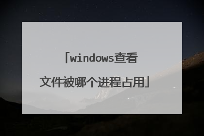 windows查看文件被哪个进程占用