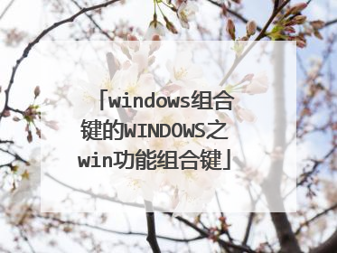 windows组合键的WINDOWS之win功能组合键