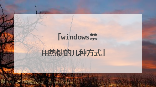 windows禁用热键的几种方式