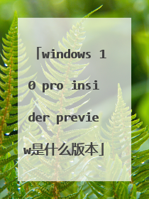 windows 10 pro insider preview是什么版本