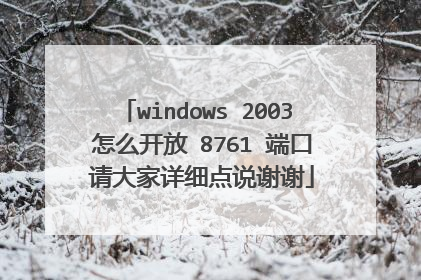 windows 2003 怎么开放 8761 端口 请大家详细点说谢谢