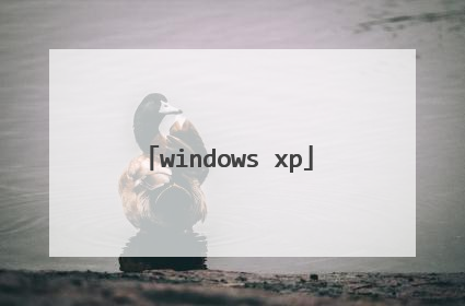 windows xp