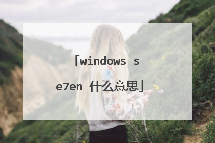 windows se7en 什么意思