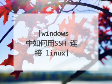 windows 中如何用SSH 连接 linux