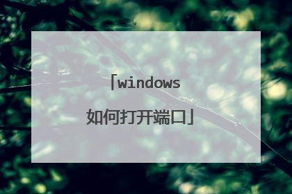 windows 如何打开端口