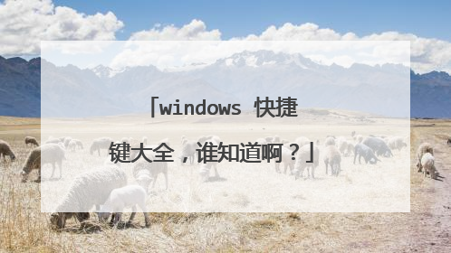 windows 快捷键大全，谁知道啊？