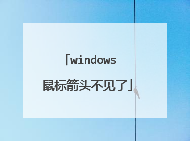 windows 鼠标箭头不见了