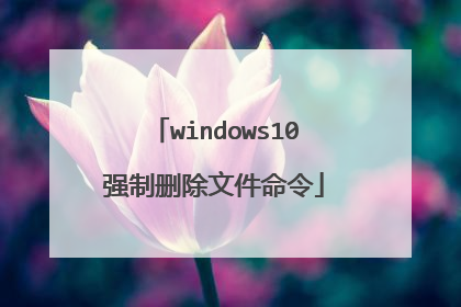 windows10强制删除文件命令