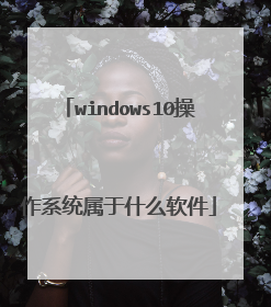 windows10操作系统属于什么软件