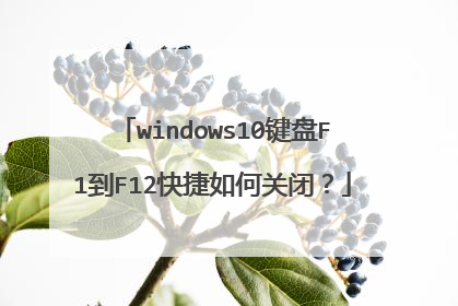 windows10键盘F1到F12快捷如何关闭?