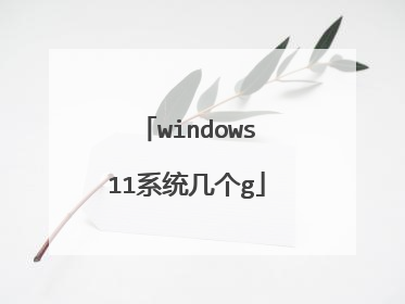 windows11系统几个g