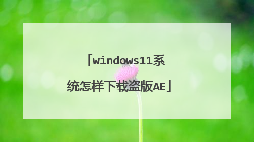 windows11系统怎样下载盗版AE