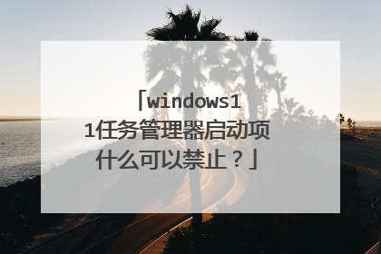 windows11任务管理器启动项什么可以禁止?