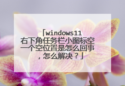 windows11右下角任务栏小图标空一个空位置是怎么回事,怎么解决?