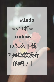 windows11和windows12怎么下载?是微软发布的吗?