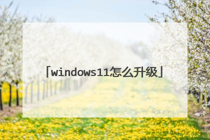 windows11怎么升级