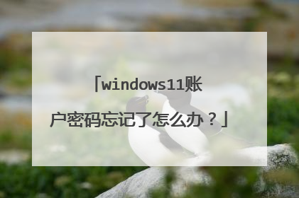 windows11账户密码忘记了怎么办？