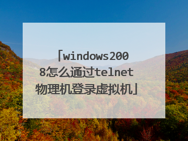 windows2008怎么通过telnet物理机登录虚拟机