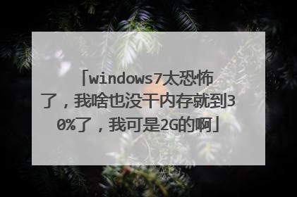 windows7太恐怖了,我啥也没干内存就到30%了,我可是2G的啊