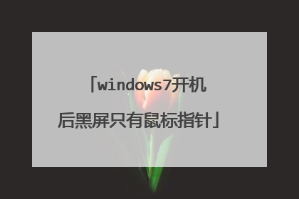 windows7开机后黑屏只有鼠标指针