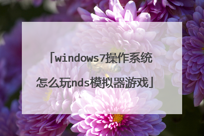 windows7操作系统怎么玩nds模拟器游戏