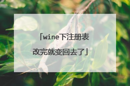 wine下注册表改完就变回去了