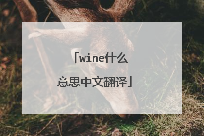 wine什么意思中文翻译