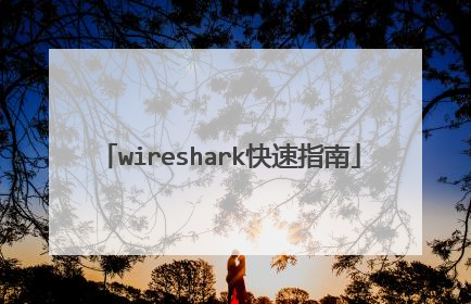wireshark快速指南