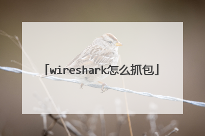 wireshark怎么抓包