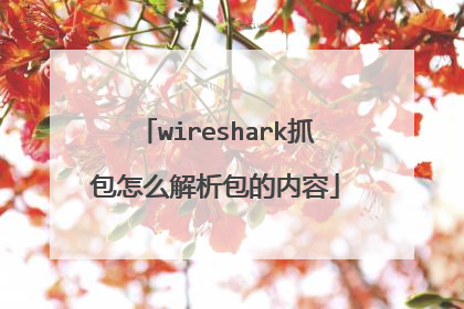wireshark抓包怎么解析包的内容