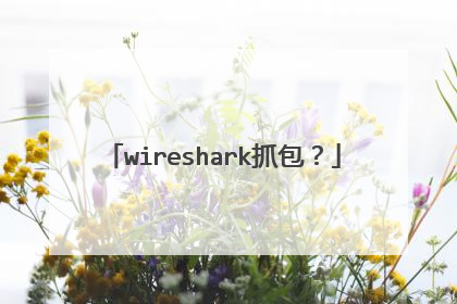 wireshark抓包？