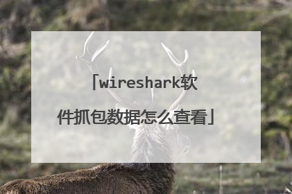 wireshark软件抓包数据怎么查看