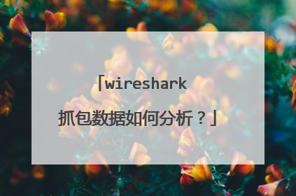 wireshark 抓包数据如何分析?