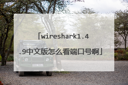 wireshark1.4.9中文版怎么看端口号啊