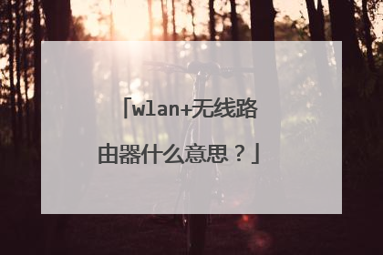 wlan+无线路由器什么意思?