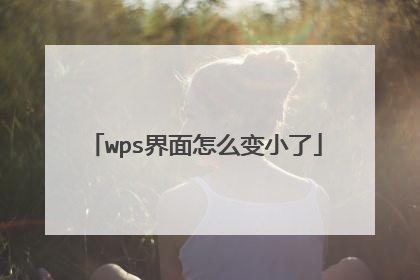 wps界面怎么变小了