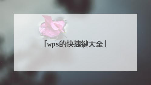 wps的快捷键大全