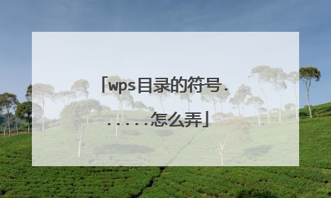 wps目录的符号......怎么弄