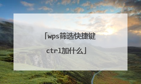 wps筛选快捷键ctrl加什么