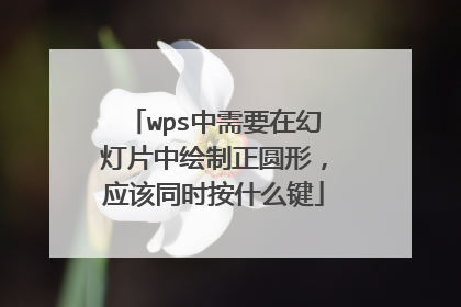 wps中需要在幻灯片中绘制正圆形,应该同时按什么键